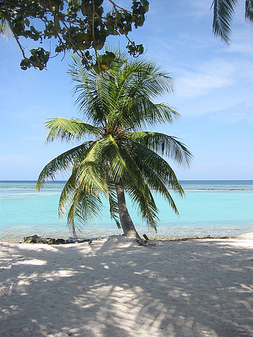 Foto Blick auf das Meer - 