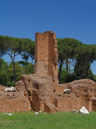 Fotos Ruinen am Apollo Tempel | Rom