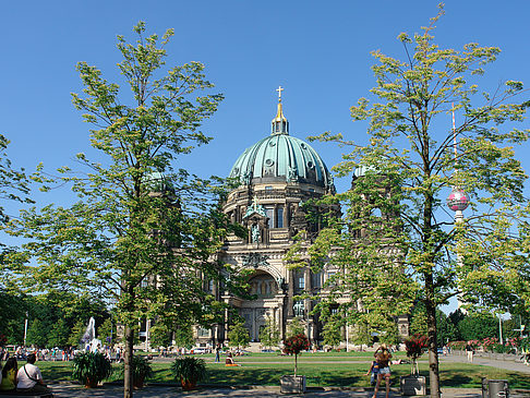 Berliner Dom Fotos