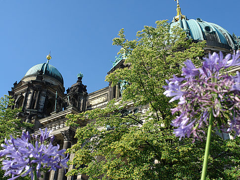 Fotos Berliner Dom mit Lustgarten