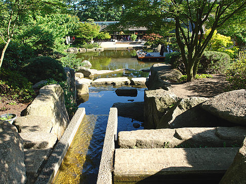 Foto Planten un Blomen - Japanischer Garten - Hamburg