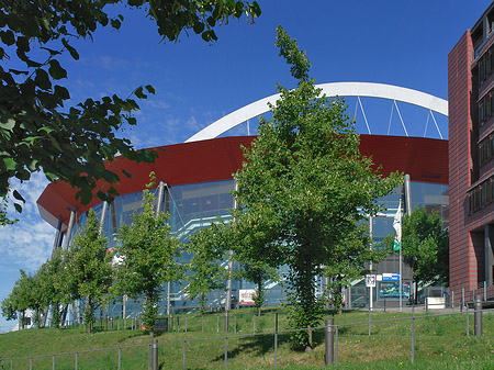 Kölnarena auf einer Wiese