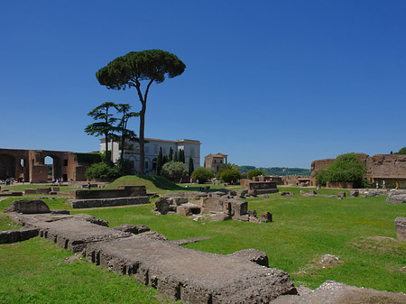 Domus Augustana und das Museo Palatino Fotos