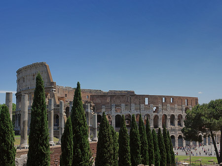 Foto Kolosseum mit dem Forum Romanum