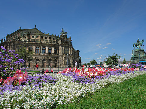 Foto Semperoper mit Blumen - Dresden