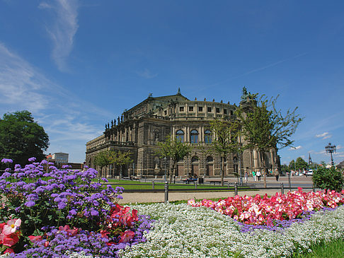 Fotos Semperoper mit Blumen | Dresden