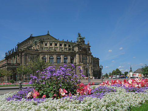 Foto Semperoper mit Blumen - Dresden