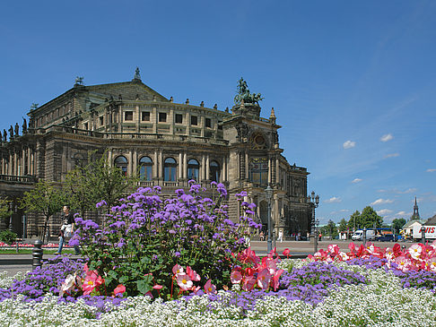 Fotos Semperoper mit Blumen